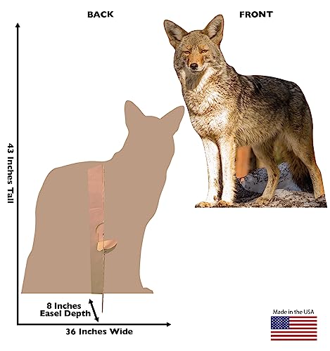 Image of Cardboard People Coyote Life Size Cardboard Cutout Standup - Made in USA