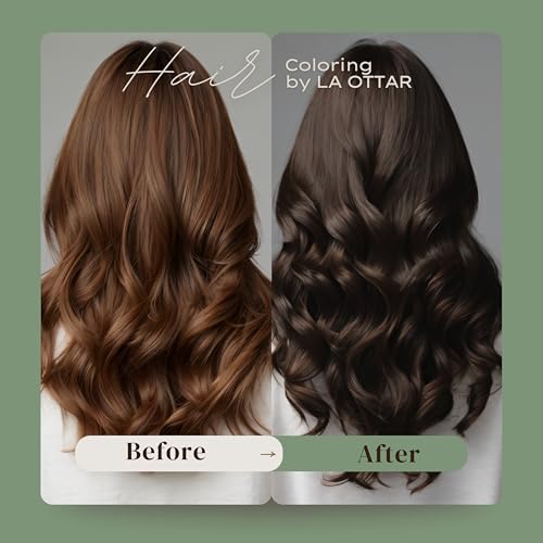 Image of Fruit Vinegar Gel Hair Color, Organic & Natural Hair Color Dye for Black Hair (500ml x 2) - Black