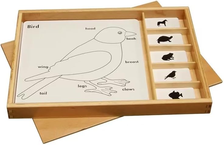Premium Montessori Animal Puzzle Activity Set – PEC 3-Part Cards for Zoology, Beechwood Storage Box with Control, Picture & Label Cards, Science Learning Material for Homeschool Classroom Kids Age 3-6