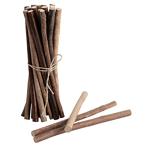 LAZACA Craft Sticks Twigs Crafting Natural Wood Log Sticks DIY
