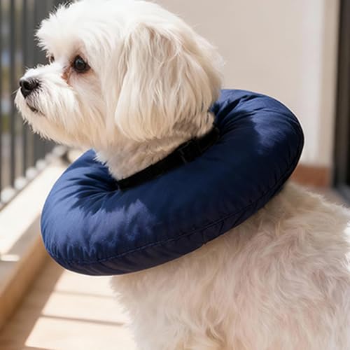 Collar de cono suave para perro para cuidado de heridas en casa 3