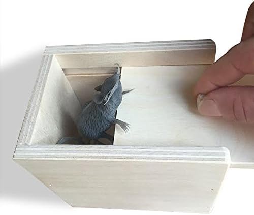 Wooden Surprise Box, Mouse, A Funny Practical Joke Toy