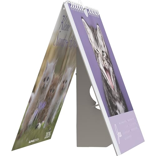 Alpha Edition - Kleine Samtpfötchen Kalender 2026 – Postkartenkalender 16×17 cm mit Katzenmotiven, zum Aufstellen oder Aufhängen, niedlicher Tischkalender & Geschenkidee für Katzenliebhaber