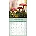 Carousel Calendars, Mushrooms 2026 Wall Calendar