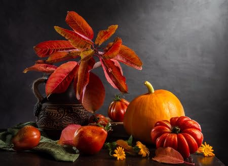 adrium WTD 216204863 - Cuadro en lienzo (70 x 50 cm), diseño rústico con calabaza, tomate y rama otoñal