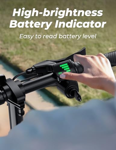 Windhorse Electric Scooter with Seat for Adults, 650W Peak