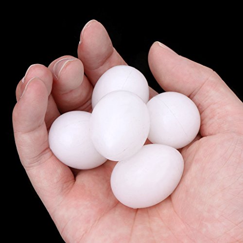Shoresu 5 Pieces/lot Pigeon False Eggs Filled Plastic Simulation for Hatch Breeding Supplies 3.5x2.5cm(1.38x0.98in)