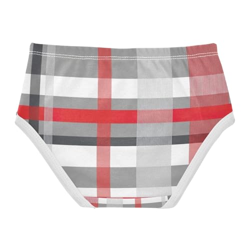 Panties for Girls, Geometric Plaid Gray White Stripes Toddler Briefs, Cotton Underwear Girls, 2T–8 Years2