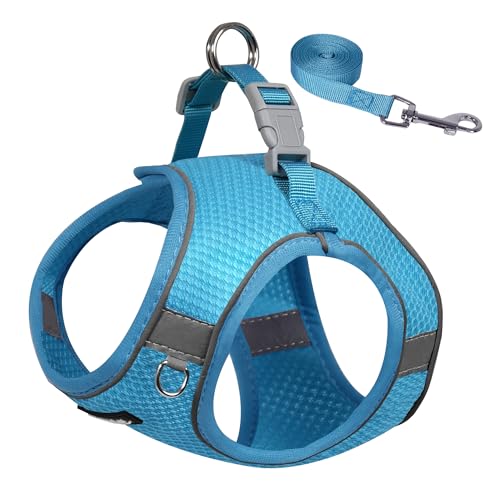 AIITLE Pettorina e guinzaglio per cuccioli per passeggiate, imbracatura per cani Step in, articoli per animali domestici morbidi e traspiranti, per cani di piccola taglia e gatti domestici Blu XXXS