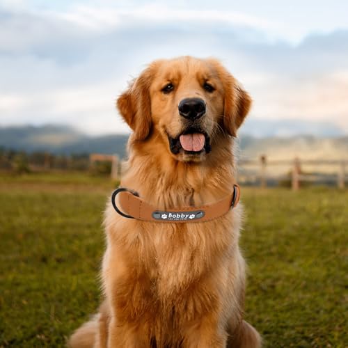 Hundehalsband, personalisierbar, mit Namen und Telefonnummer, verstellbares Welpenhalsband mit Sicherheitsschnalle für kleine, mittelgroße und große Hunde