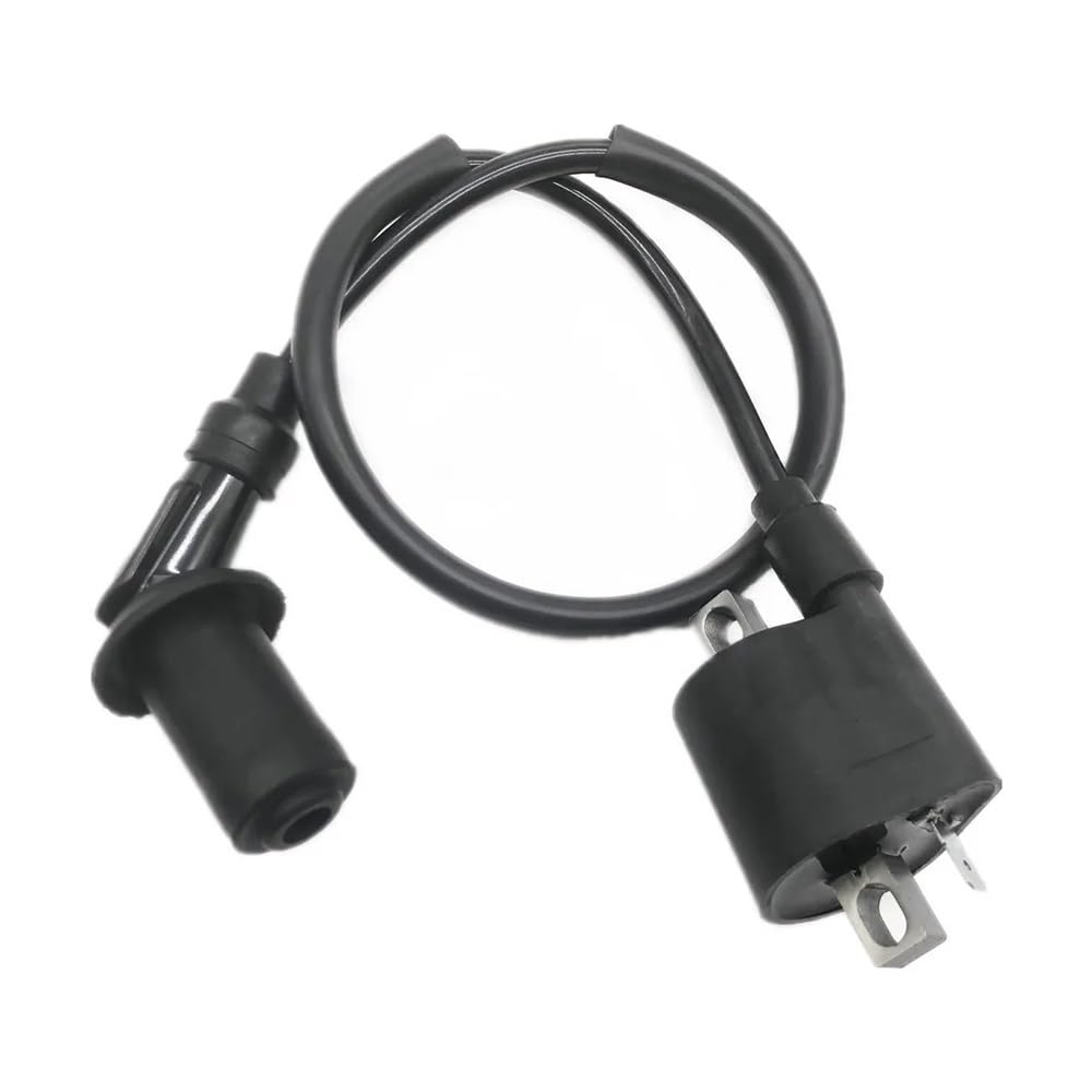 Bobina de encendido para moto CG 125 y ATV todoterreno de 150cc tipo D8TC 2