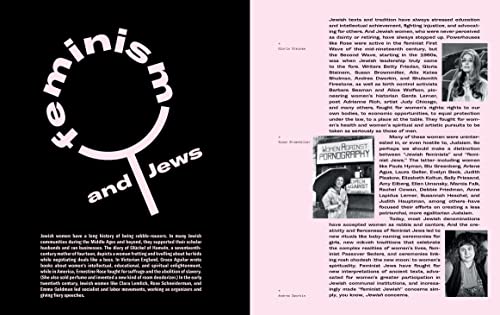 The Newish Jewish Encyclopedia: From Abraham to Zabar's and Everything in Between