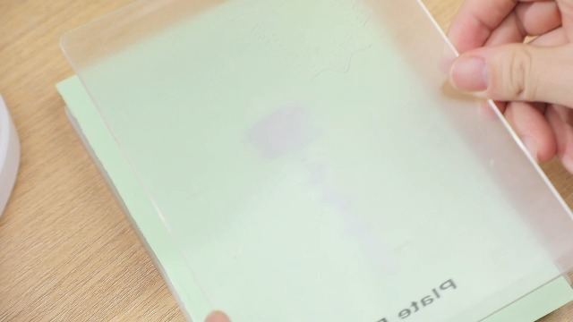 24 Pieces Flower Metal Cutting Dies Wildflowers Cutting Die Flower Leaves Embossing Stencils for Card Making Thanksgiving Christmas Craft Mold for Crafts Scrapbook Album Paper Card Decoration