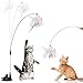 Interaktives Katzenspielzeug Federn, Interaktives Katzenspielzeug Angel Mit Feder,Interaktives Katzenspielzeug Mit Saugnapf,Katze Zauberstab Spielzeugdraht, Katzen Spielzeug