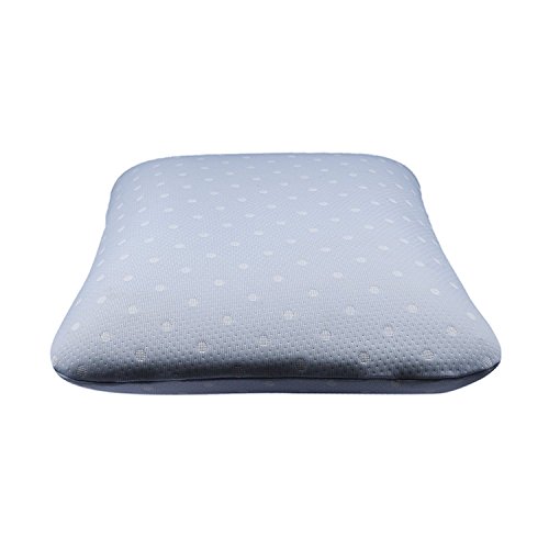 Image of The White Willow Vintage Blue 1 Piece Signature Dual-Sided Reversible Memory Foam Pillow -23 inch L x 15.5 inch W x 5 inch H, with Polka Dot Design Cover