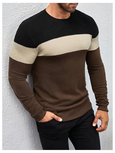 WDIRARA Men's Crew Neck Long Sleeve Sweater Color Block Knitwear Casual Pullover Tops4