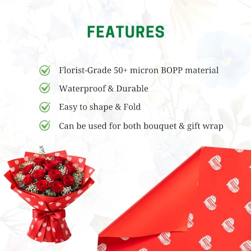 Image of Oasis - 20 Sheets Korean Style Waterproof Premium Bouquet Wrapping Sheet (58cm x 58cm, 60 Microns) | Sketch Heart Valentine Design, Giftwrap for Flowers & DIY Gift Wrapping Paper (Red)