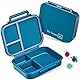My Vesperbox – MINI BIA - Bento Box Kinder – NEUES MODEL – kompakter und leichter - Auslaufsicher & BPA Frei - Lunchbox – Brotdose - für Kindergarten und Schule (Petrol)