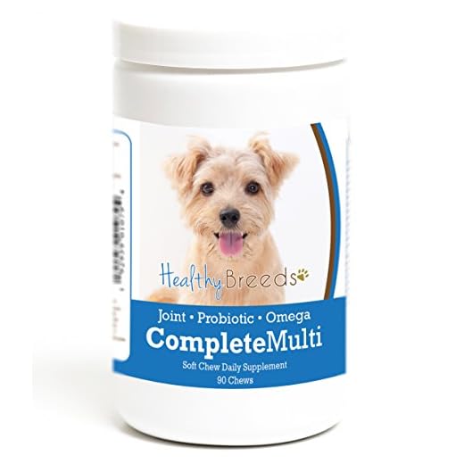 Healthy Breeds Norfolk Terrier All in One Multivitamin Soft Chew 90 Count