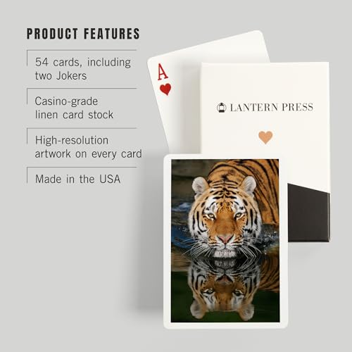 Lantern Press Tiger Reflection, 52 cartas de póker para adultos miniatura 3