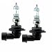 PIAA 10725 9005 (HB3) Night Tech High Performance Halogen Bulb, (Pack of 2)