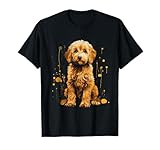Golden Doodle