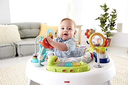 Fisher-Price FFJ01 Baby To Toddler Toy 2-In-1 Sit-To-Stand Activity Center thumb #4