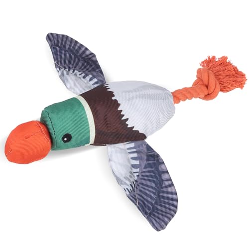 EXPAWLORER Flyer Duck Dog Toy Launcher - Flying Fetch Toy for Dogs Interactive Squeaky Bird Toys Slingshot Toss Thrower Floats on Water Outdoor Fun for Small Medium Dogs Not for Aggressive Chewers