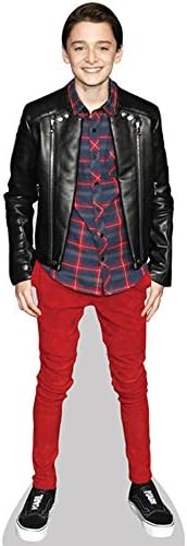 Noah Schnapp Mini Formato Amazon It Casa E Cucina