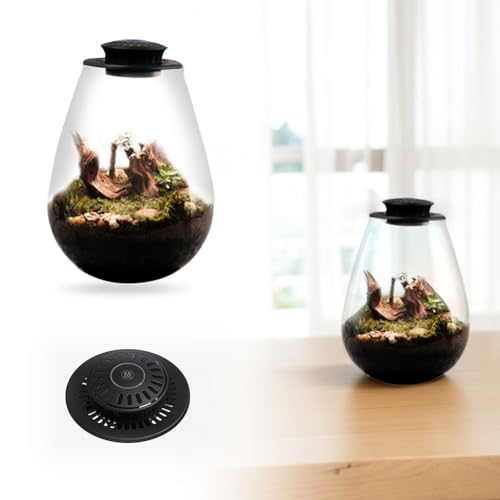 Fiorky Lampe de culture LED, fougère mousse micro-paysage avec minuterie, lampe de croissance de plantes, 6 500 K, terrarium en verre, lampe de culture pour plantes d'intérieur, plantes – vue 9