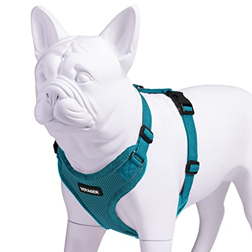 Voyager Step-In Lock Pet Harness - All Weather Mesh, Adjustable Step In Harness For Cats And Dogs By Best Pet Supplies - Turquoise, M #TOP2