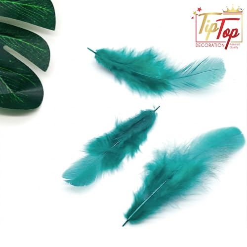 Image of TIPTOP DECORATION Natural Dyed Feathers 10 cm (80 Pieces) (Sea Green)
