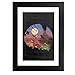 Produktbild Cloud City 7 The Land Before Time Extinction Framed Print
