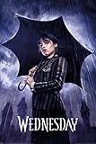217416 Pyramide Mercredi – Downpour – Poster 61 x 91 cm