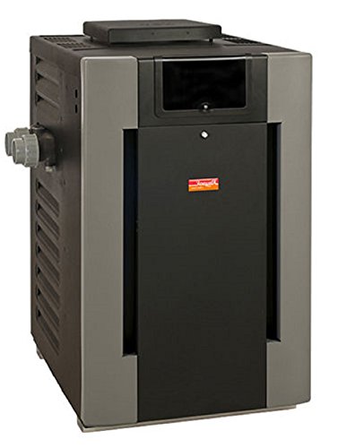 Raypak PR206AEPC50 199.5K BTU Electronic Ignition Heater-LP