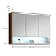 BEST Spiegelschrank Bad mit LED-Beleuchtung in Wildeiche Optik - Badezimmerspiegel Schrank mit viel Stauraum - 99 x 70 x 23 cm (B/H/T)