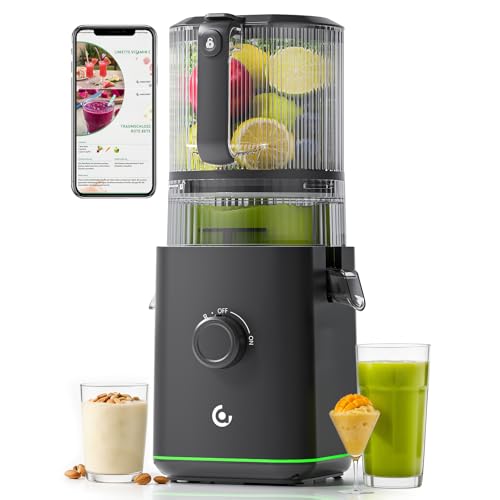 Juicer Machines 3in1 Cold Press Juicer with 65 Review: Is it Worth it?