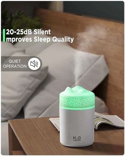 Image of Portable Mini Humidifier57