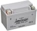 Power-Sonic (PTZ10S) Sealed Maintenance Free Powsersport Battery