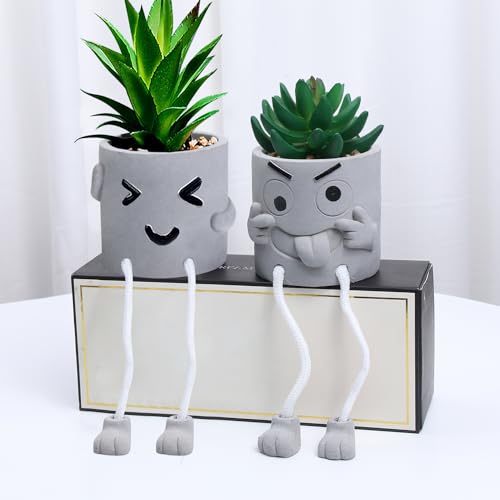 DuscdespArtificial Potted Plant Set of 2 Cute Fake Succulent Plant with Hanging Leg artificial plants indoor Succulents Plants Decor for Home Office Bookshelf Bathroom desk decor(Funny face)