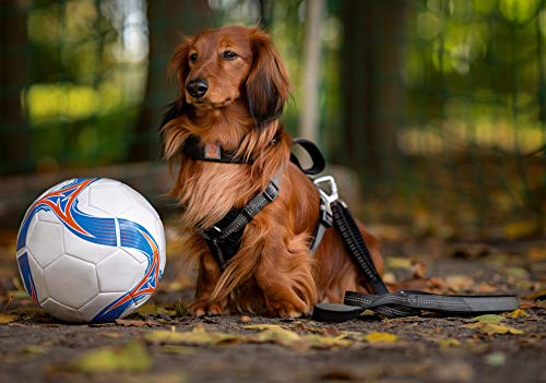 MICHUR Bruno Nero, Pettorina per Cani in Nylon