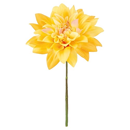 �_���A�s�b�N �C�G���[ FLP6017YL �_���A�s�b�N �_���A ���肠 �_���� ���� �s�b�N �A�[�g�t�����[ �A�����W