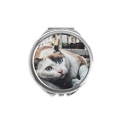 Miroir portable chat multicolore pour les retouches beauté en voyage