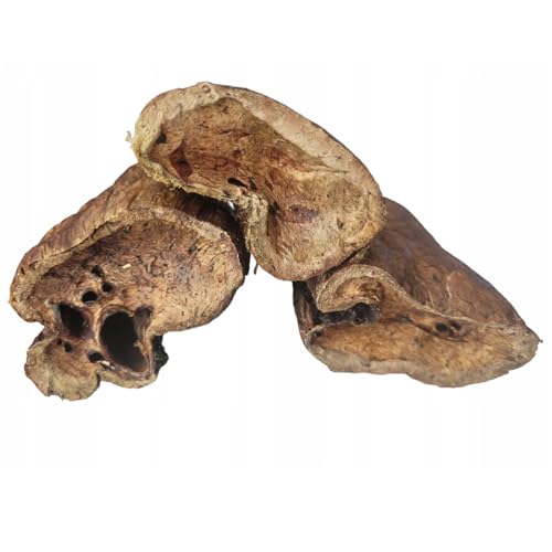 Lucze, Getrocknete Pferdelungen für Hund 500g, 100% Natürlicher Kausnack, Hypoallergen, Zahnpflege für Hunde, Langanhaltender Kauspaß, Leckerli für Empfindliche Hunde, Ohne Künstliche Zusätze