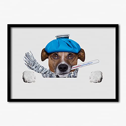 Affiche de chien malade sous cadre en bois 70x50 cm pour une décoration pleine d'émotion