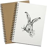 A4 Sketch Books 2 Pack, Recycled Spiral Notebook Cartridge Paper Drawing Pads 120Page/ 60 Sheets White Artist Paper Hard Cover 160gsm DS03A402