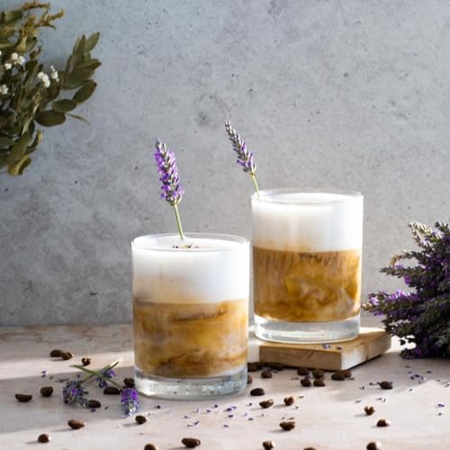 image for Le'raze Le'raze Set of 12 Heavy Base Rocks Glass Cups, Elegant Ol