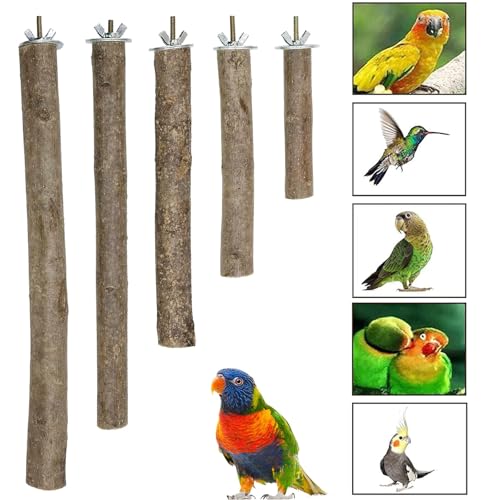 Image of Woohome 5 PCS Perch Bird Stand Toy Natural Wood Platform Natural Wood Bird Perch Stand for Small Birds Cockatiels Lovebirds Budgie Parrot