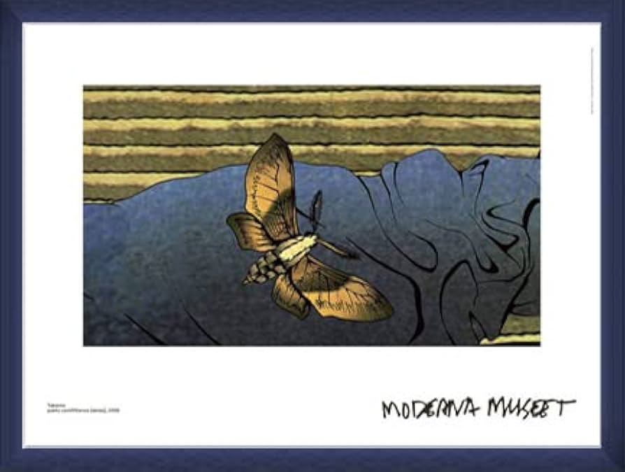 Amazon|ポスター 田端 綾子/束芋 Public conVENience 額装品 ウッド Amazon|ポスター 田端 綾子/束芋 Public conVENience 額装品 ウッド