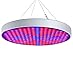Produktbild Aufun 50W 250LEDs Pflanzenlampe Pflanzenlicht - Vollspektrum Led Grow Light Panel mit Rot Blau IR UV - für Gewächshaus Hydroponik Grow Box Veg Wachstum (50W)